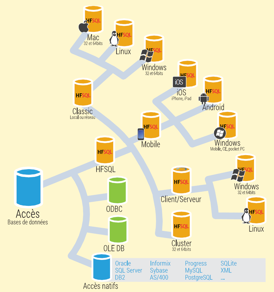 HFSQL: Potente Banco de Dados